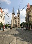 IMG_9881.JPG