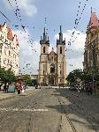 IMG_9882.JPG
