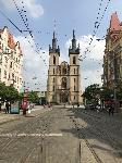 IMG_9883.JPG