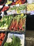 IMG_9915.JPG