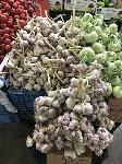 IMG_9918.JPG