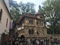 IMG_9933.JPG