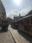 IMG_9975.JPG