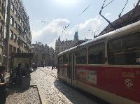IMG_9981.JPG