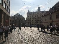 IMG_9984.JPG