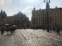 IMG_9986.JPG