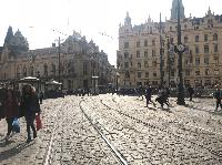 IMG_9987.JPG