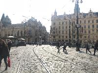 IMG_9989.JPG