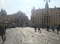 IMG_9990.JPG