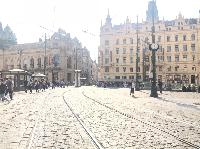 IMG_9993.JPG