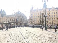 IMG_9995.JPG