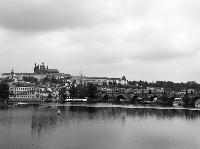 IMG_E7411.JPG