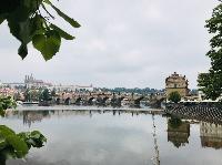 IMG_E7424.JPG