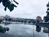 IMG_E7428.JPG