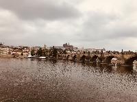 IMG_E7441.JPG