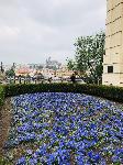 IMG_E7454.JPG