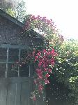 IMG_3032.JPG