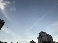 IMG_0187.JPG