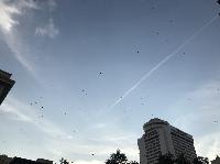 IMG_0188.JPG