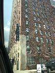 IMG_9851.JPG