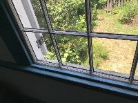 IMG_6638.JPG