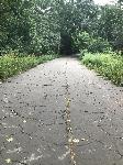 IMG_3914.JPG