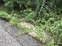 IMG_3917.JPG