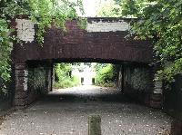 IMG_3923.JPG