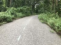 IMG_3932.JPG