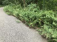 IMG_3934.JPG