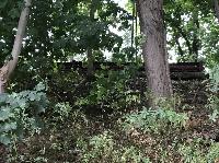 IMG_3995.JPG
