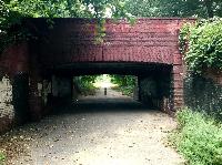 IMG_E3930.JPG