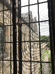 IMG_2217.JPG