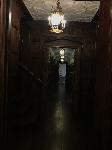 IMG_4351.JPG