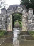 IMG_4576.JPG