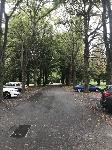 IMG_4615.JPG