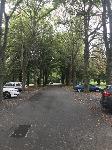 IMG_4616.JPG