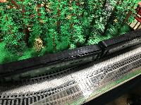 IMG_1097.JPG