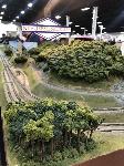 IMG_3748.JPG