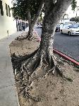 IMG_3294.JPG