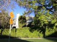 IMG_4156.JPG