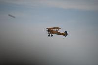 DSC_2686.jpg
