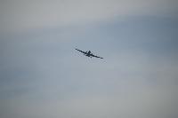 DSC_2743.jpg