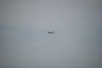 DSC_2799.jpg