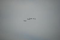 DSC_2893.jpg
