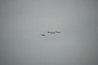 DSC_2896.jpg