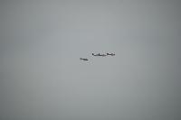 DSC_2897.jpg