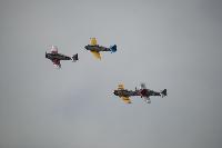 DSC_2911.jpg