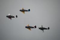 DSC_2917.jpg