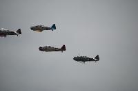 DSC_2919.jpg